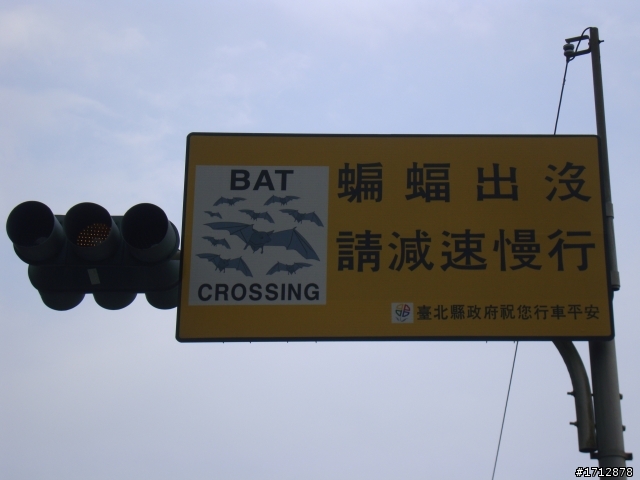 (下集)新營市、一人全環島!1290的旅程