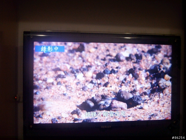 禾聯碩 HD-42U42 偽開箱文