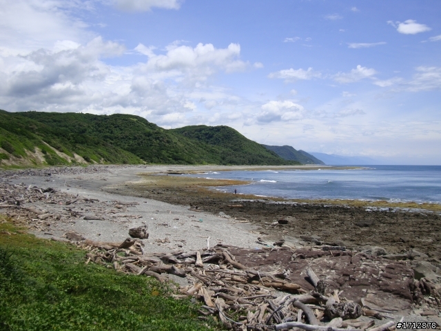 (上集)新營市、一人全環島!1290的旅程