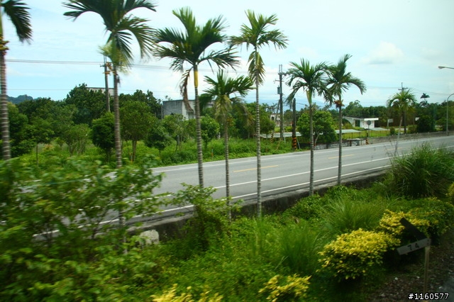 用力騎上武嶺-漫騎在公路之巔-武嶺(第一天)