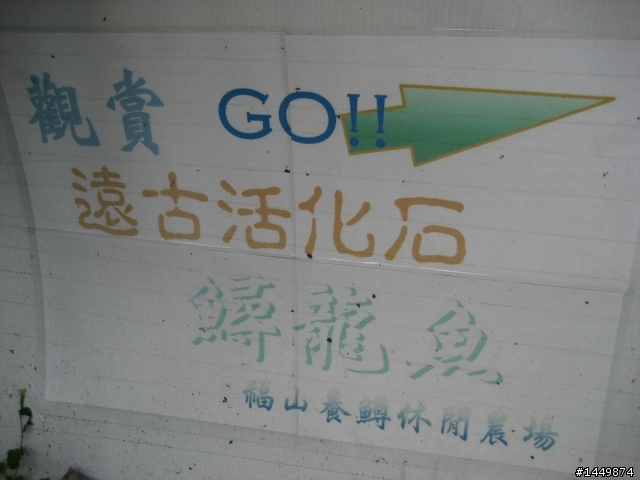 G4 125之小車烏來趴趴走!