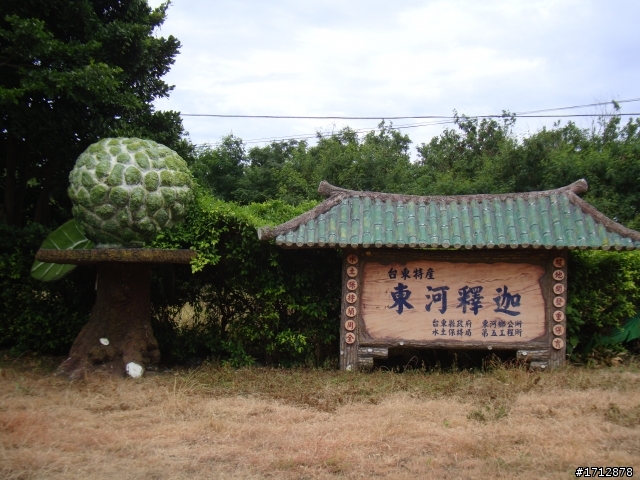 (上集)新營市、一人全環島!1290的旅程