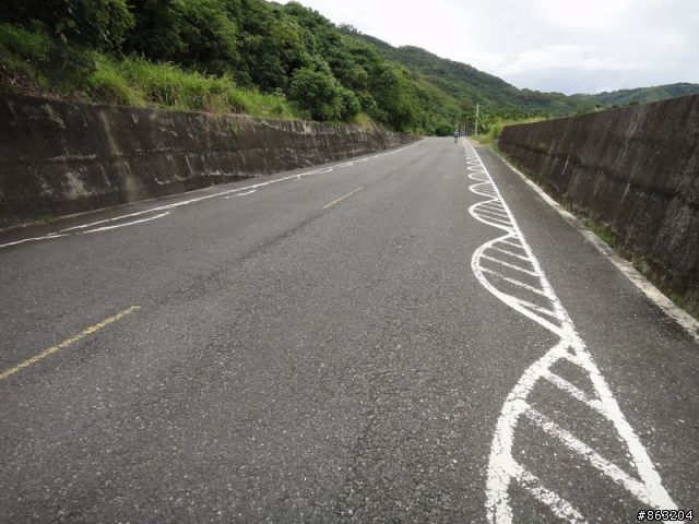 <分享>99.8.18-19金針花暨花東之旅