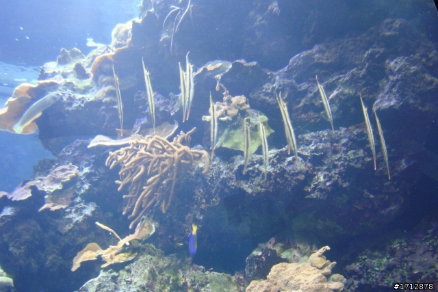 (上集)新營市、一人全環島!1290的旅程
