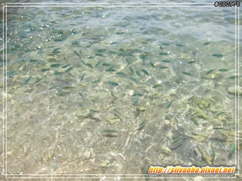 2010重遊蘇美島 (Koh Samui, Thailand)