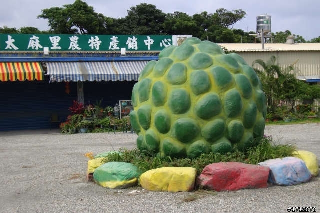 (上集)新營市、一人全環島!1290的旅程