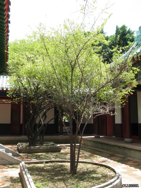 府城古蹟探索