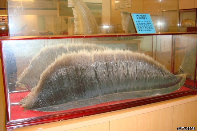 (上集)新營市、一人全環島!1290的旅程
