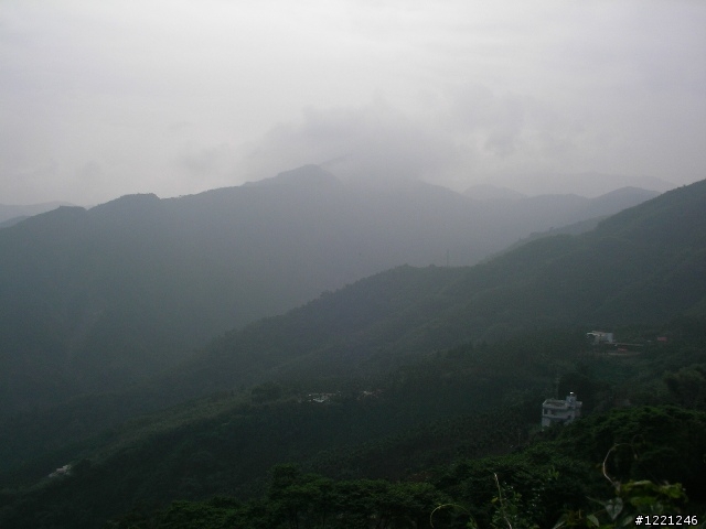 【遊記】竹山八卦茶園之奮力騎奮力吃