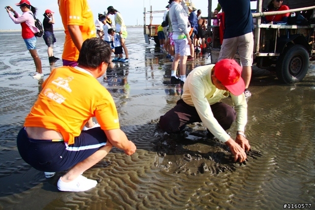 屏東肉腳團彰化王功-採蚵、抓螃蟹、生態之旅(第一天)