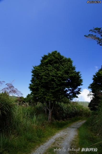 美美太平山,水水翠峰湖