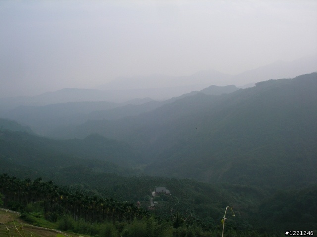 【遊記】竹山八卦茶園之奮力騎奮力吃
