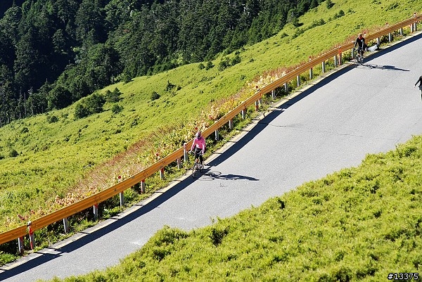 2010-09-05 Never Stop 武嶺 合歡主峰登山口前的照片