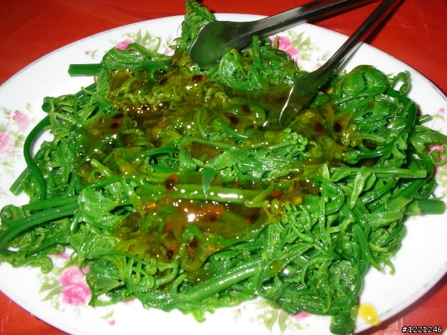 【遊記】竹山八卦茶園之奮力騎奮力吃