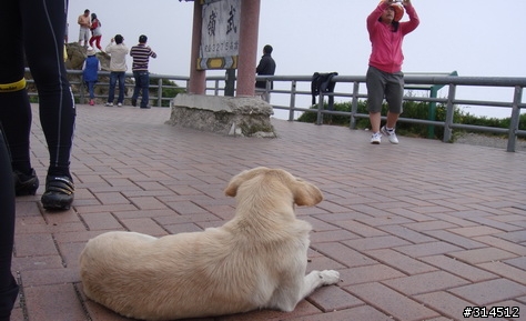 2010-7-16武嶺(標高3275公尺)台灣公路最高點單車聖地