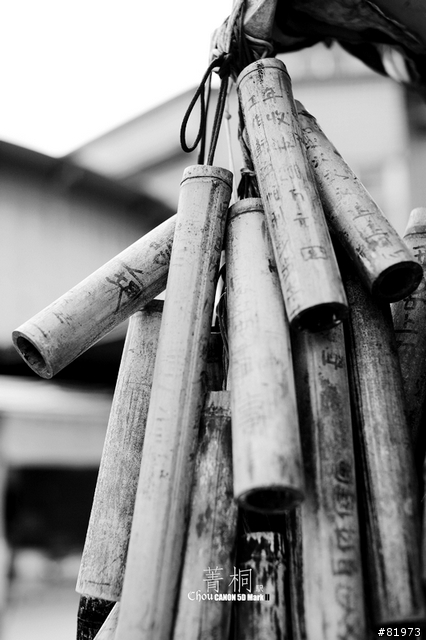 我與我的生活筆記本-CANON 5D MARKII