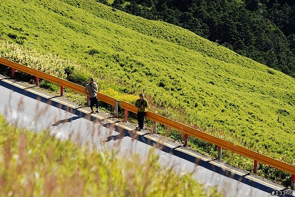 2010-09-05 Never Stop 武嶺 合歡主峰登山口前的照片