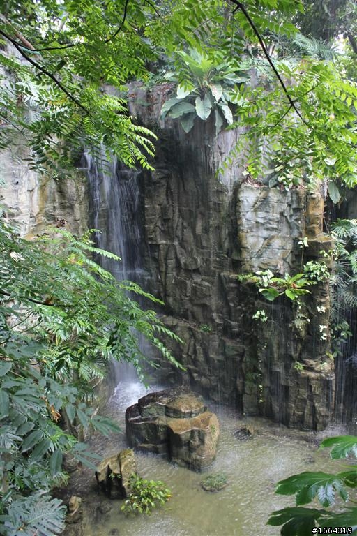 550D新手拍 科博館植物園