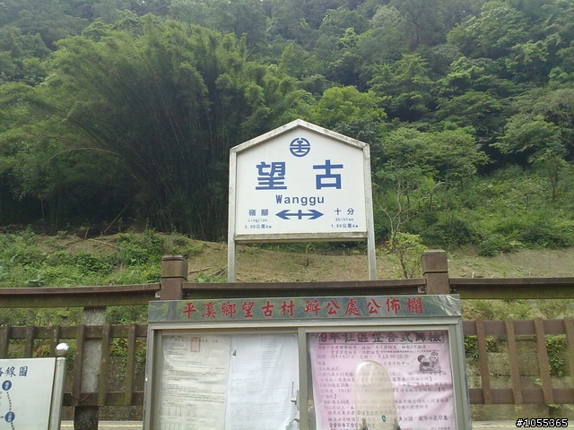 第一次被美眉攝到..........(下港人遊記)
