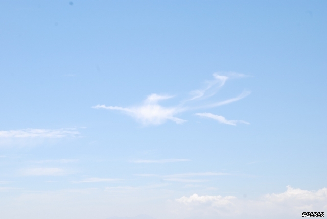 9/12~9/14 花東三日遊~碧海、藍天、金針花~愜意行!!