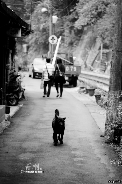 我與我的生活筆記本-CANON 5D MARKII