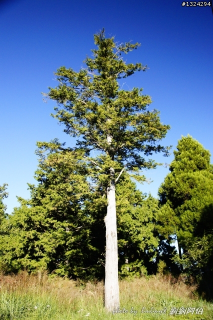 美美太平山,水水翠峰湖