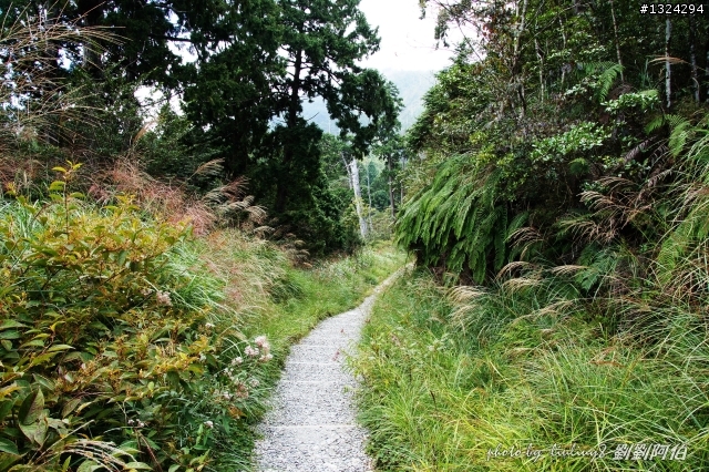 美美太平山,水水翠峰湖