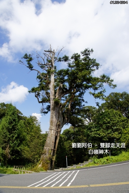 美美太平山,水水翠峰湖