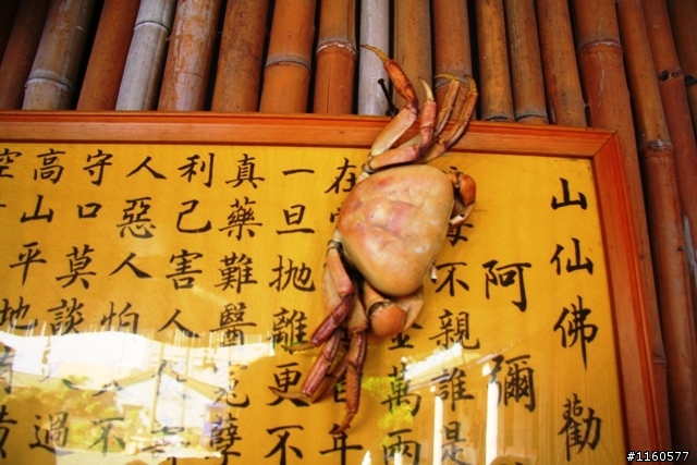 屏東肉腳團彰化王功-採蚵、抓螃蟹、生態之旅(第一天)