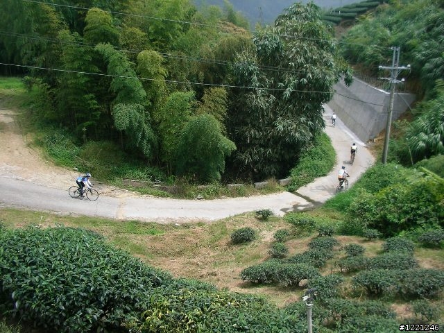 【遊記】竹山八卦茶園之奮力騎奮力吃