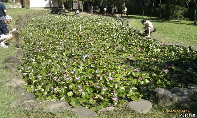 北投圖書館&溫泉博物館