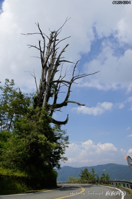 美美太平山,水水翠峰湖