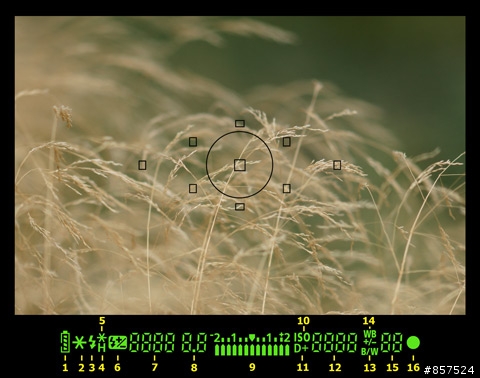 CANON DSLR 性能演進與簡史