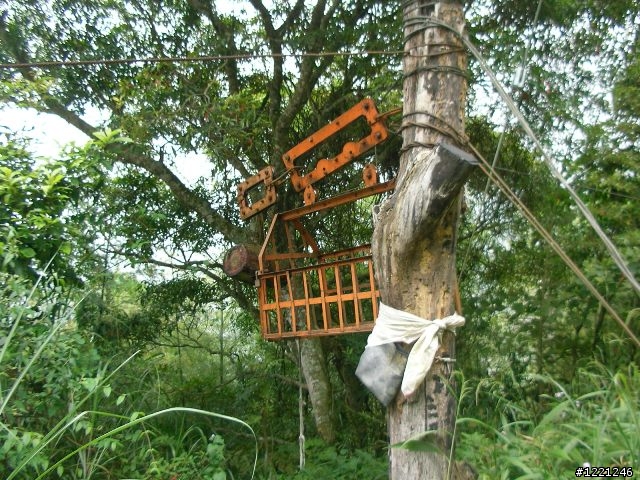 【遊記】竹山八卦茶園之奮力騎奮力吃