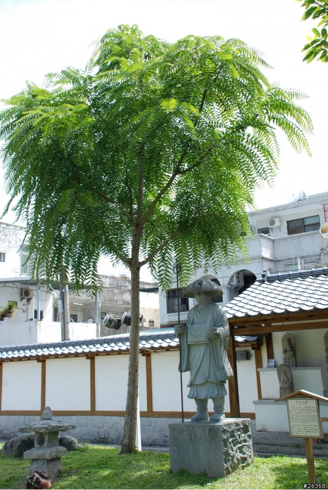 9/12~9/14 花東三日遊~碧海、藍天、金針花~愜意行!!
