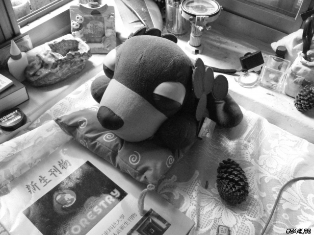 Fuji Z33Wp 準開箱文!9/27補水中實拍