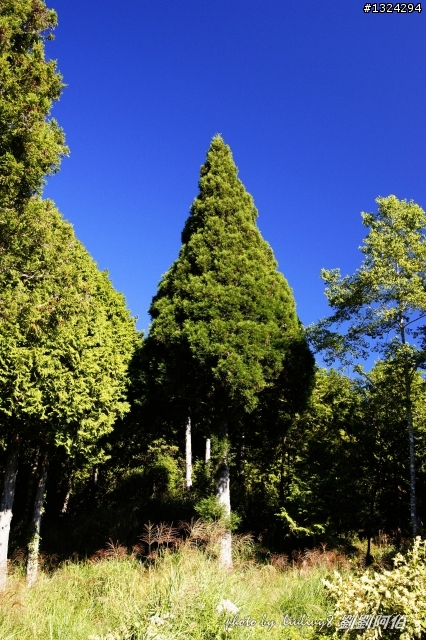 美美太平山,水水翠峰湖