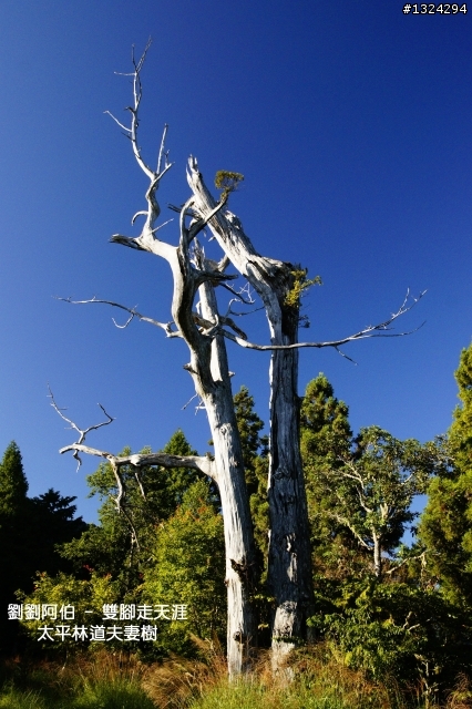 美美太平山,水水翠峰湖
