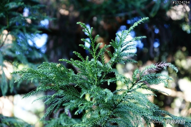 美美太平山,水水翠峰湖