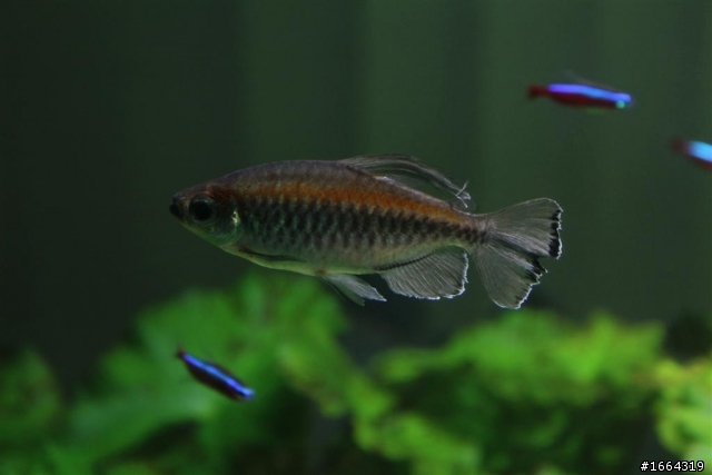 550D新手拍 科博館植物園