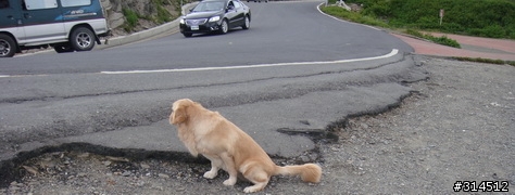 2010-7-16武嶺(標高3275公尺)台灣公路最高點單車聖地