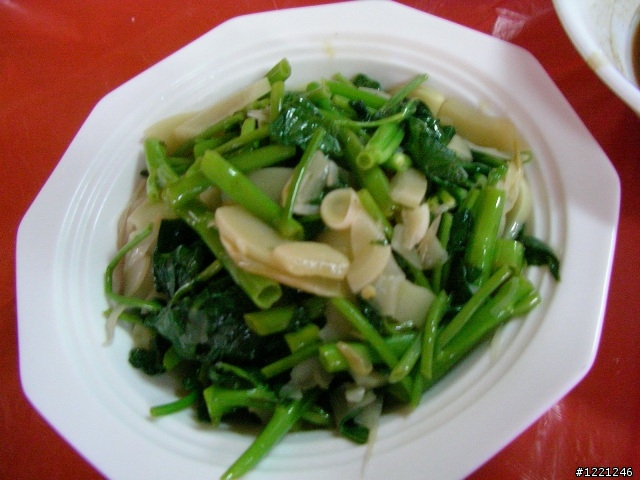 【遊記】竹山八卦茶園之奮力騎奮力吃
