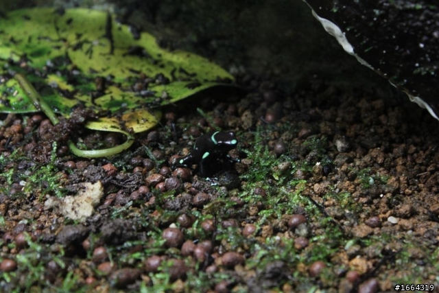 550D新手拍 科博館植物園