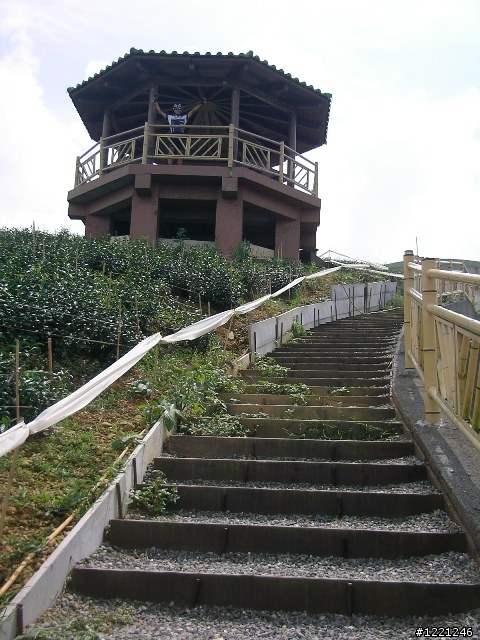 【遊記】竹山八卦茶園之奮力騎奮力吃