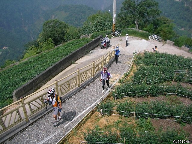 【遊記】竹山八卦茶園之奮力騎奮力吃