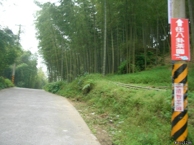 【遊記】竹山八卦茶園之奮力騎奮力吃