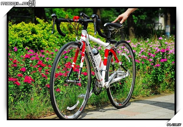 我的第一部公路車~ARGON18公路車與智慧型方向燈簡單開箱文