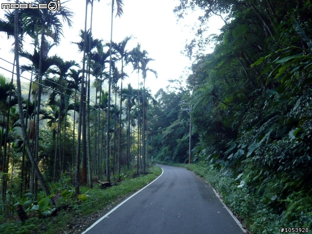 三峽經典路線-熊空休閒農場
