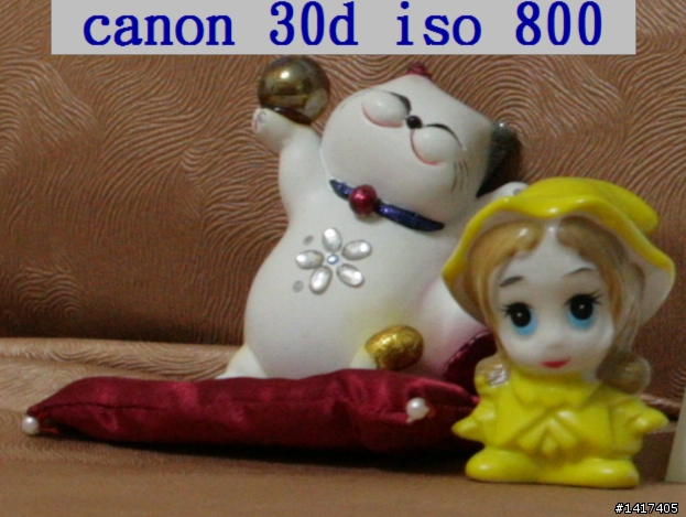 30D與EOS 60D相機性能比較_60D ISO表現的跟30D一樣出色(陸續更新中...)