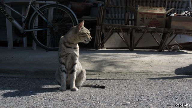 CANON S95 開箱 ! (新增2010.10.31 照片)
